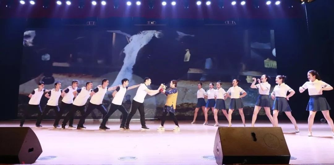 “贏在2019”，花花牛乳業(yè)集團(tuán)2019年新春晚會(huì)盛大開幕