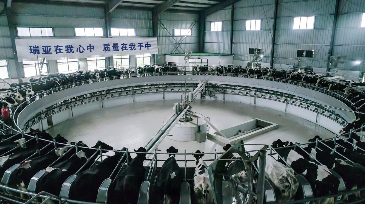 又雙叒叕獲獎啦！花花牛榮獲“乳品質(zhì)量安全管理 優(yōu)秀企業(yè)”