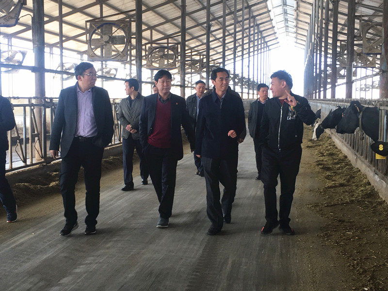 封丘縣縣長(zhǎng)王獻(xiàn)臣一行蒞臨 花花牛集團(tuán)養(yǎng)殖、乳品事業(yè)部參觀調(diào)研