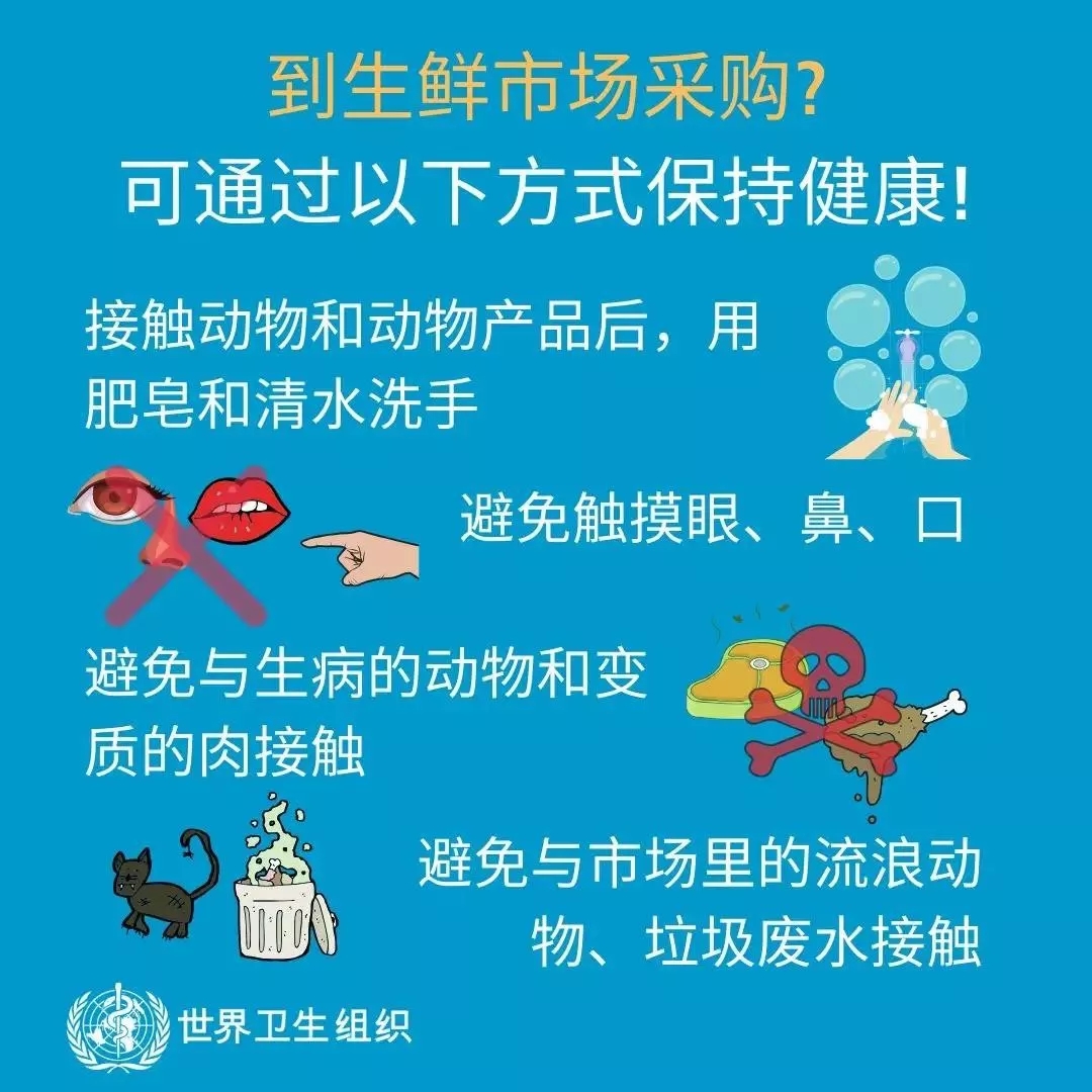 花花牛 | 共克時(shí)艱、遏制疫情，請(qǐng)相信國家力量！