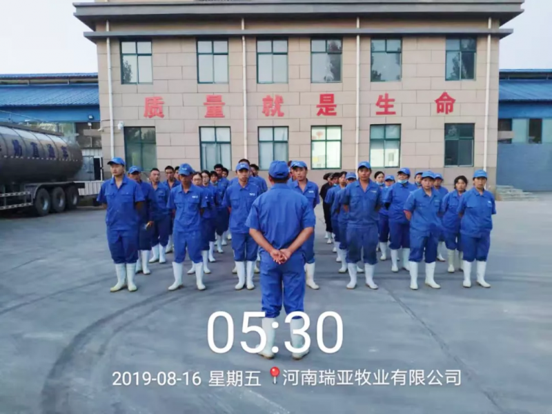 小晨會·大能量——砥礪奮進的花花牛，加油！